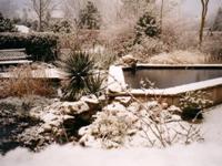 Winter in mijn tuin