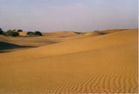 Zandduinen, Thar-woestijn India