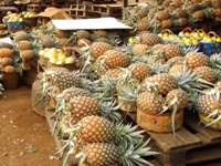Ananas Kameroen