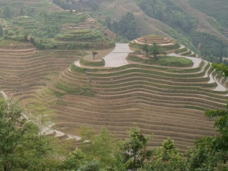 Longsheng rijstterassen in China