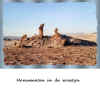 C10. Monumenten in de woestijn.jpg (540651 bytes)