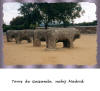 Toros de Guisando (nabij Madrid).jpg (509288 bytes)