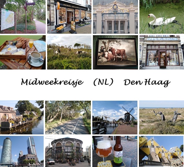 Den Haag
