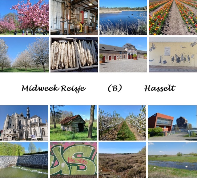Hasselt
