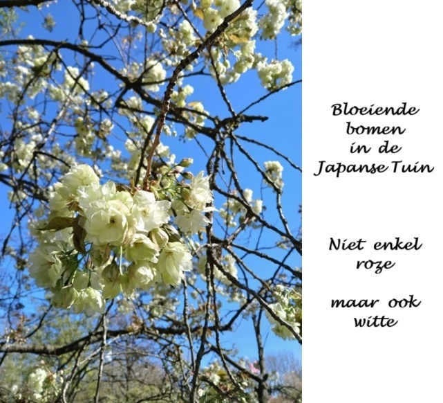 Hasselt