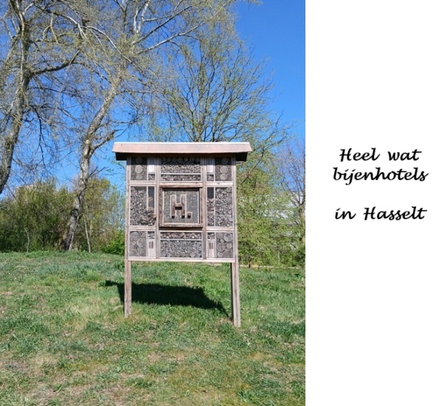 Hasselt
