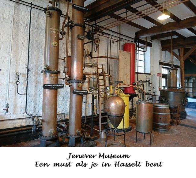 Hasselt