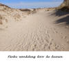 De_Panne