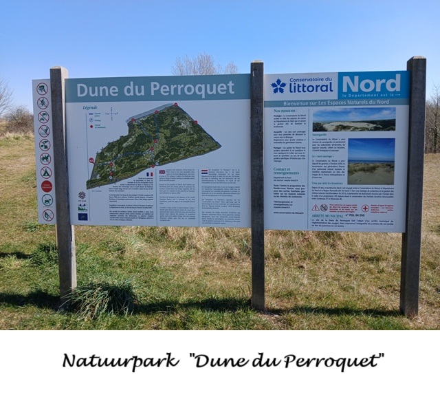 Duinen De Panne