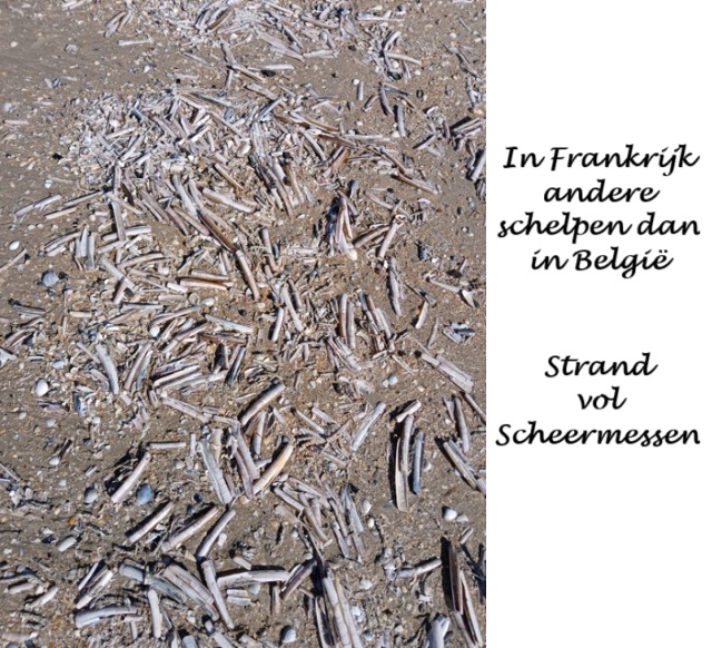 Duinen De Panne